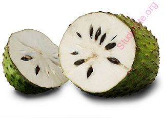 soursop (Oops! image not found)